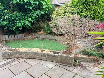 Picture 19